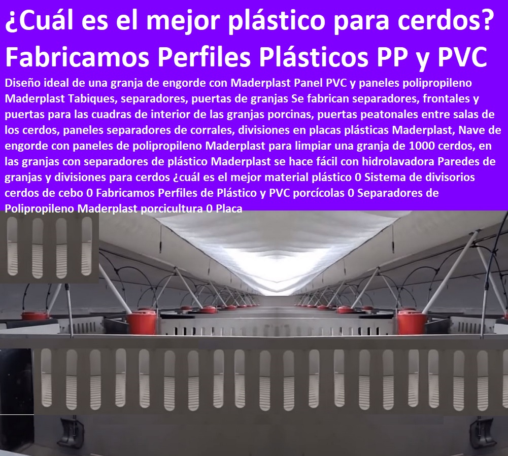 Paredes de granjas y divisiones para cerdos ¿cuál es el mejor material plástico 0 Sistema de divisorios cerdos de cebo 0 Fabricamos Perfiles de Plástico y PVC porcícolas 0 Separadores de Polipropileno Maderplast porcicultura 0 Placa Paredes de granjas y divisiones para cerdos ¿cuál es el mejor material plástico 0 Sistema de divisorios cerdos de cebo 0 Fabricamos Perfiles de Plástico y PVC porcícolas 0 Separadores de Polipropileno Maderplast porcicultura 0 Placa